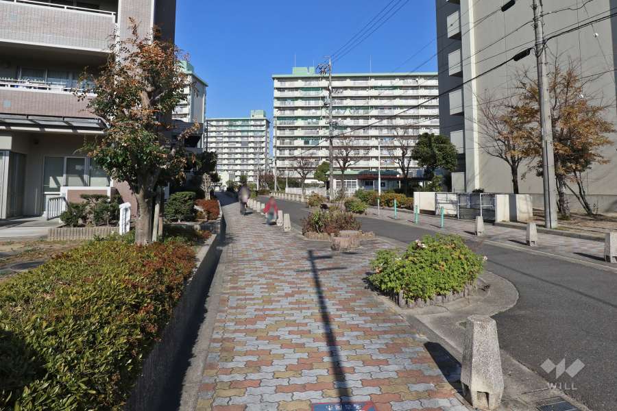 敷地東側の前面道路（南側から）