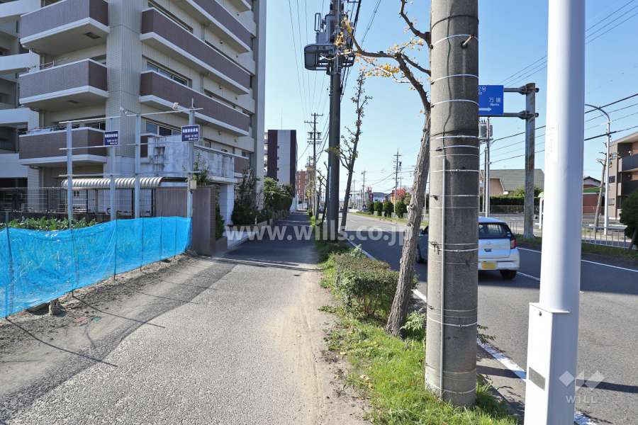 敷地北側の前面道路（八熊通）