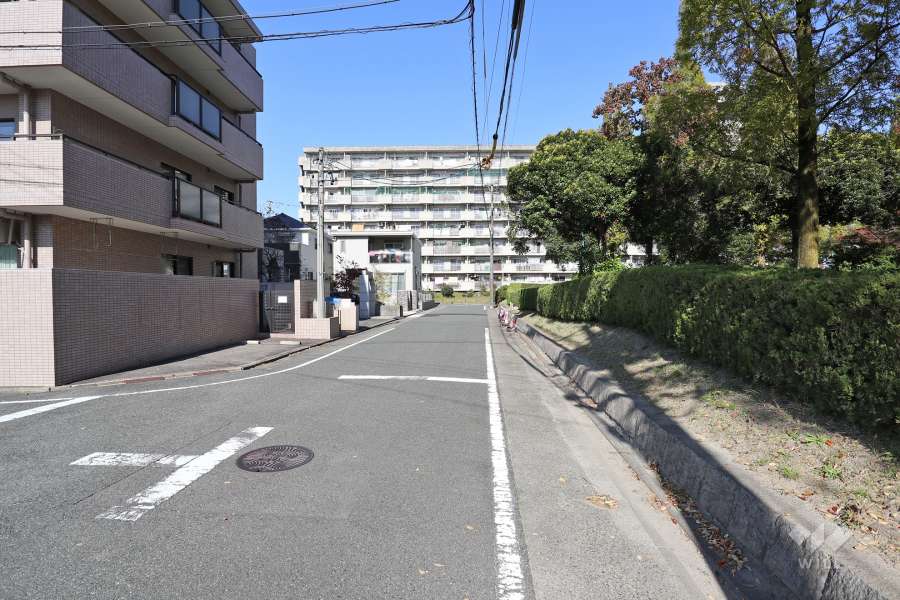 敷地東側の前面道路