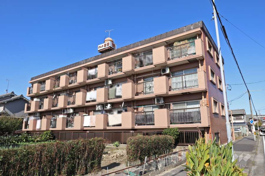 パレス富田の外観（南側から）