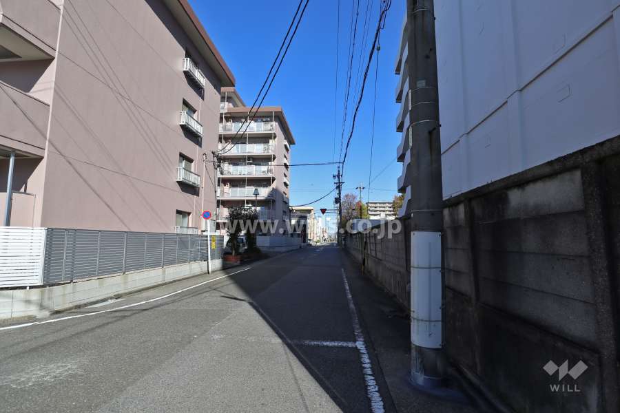 敷地東側の前面道路（南側から）