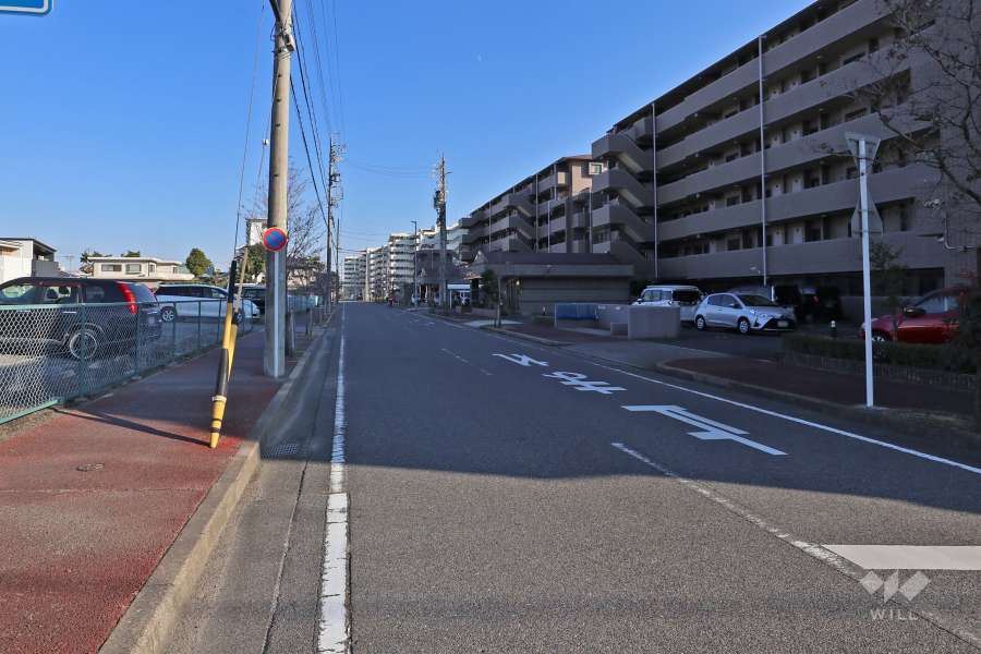 敷地北側の前面道路（西側から）