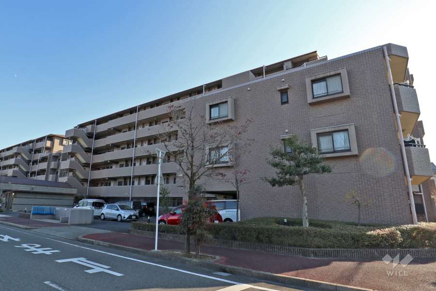 ダイアパレス花水木通り西館の外観（北側から）