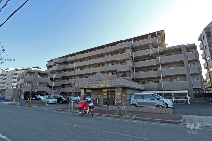 ダイアパレス花水木通り東館の外観（北側から）