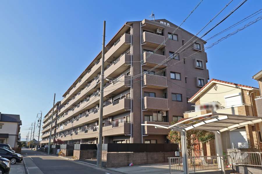 ダイアパレス花水木通り東館の外観（南東側から）