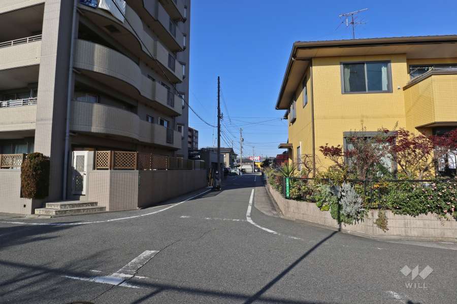 敷地東側の前面道路（南側から）