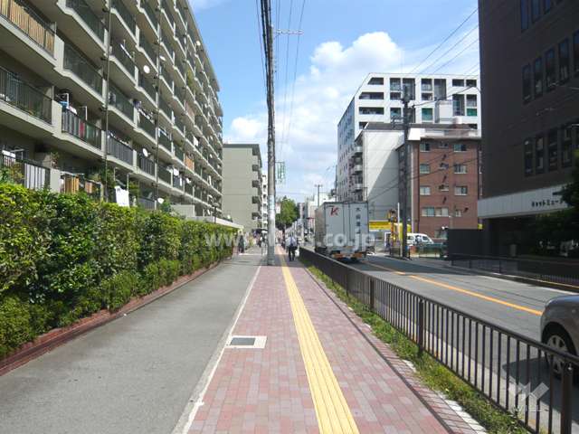 敷地南側の前面道路。周辺にはマンションが多く立ち並んでいます。
