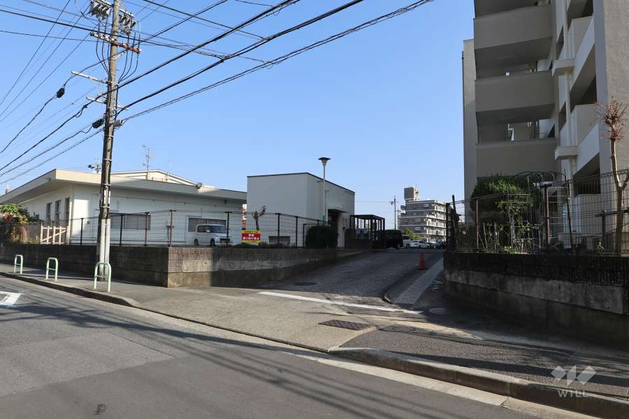 敷地入り口（西側）