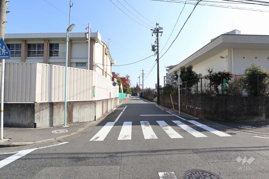 敷地北側の前面道路