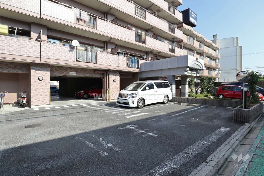 駐車場出入り口・敷地内駐車場（屋内平面式、屋外平面式）