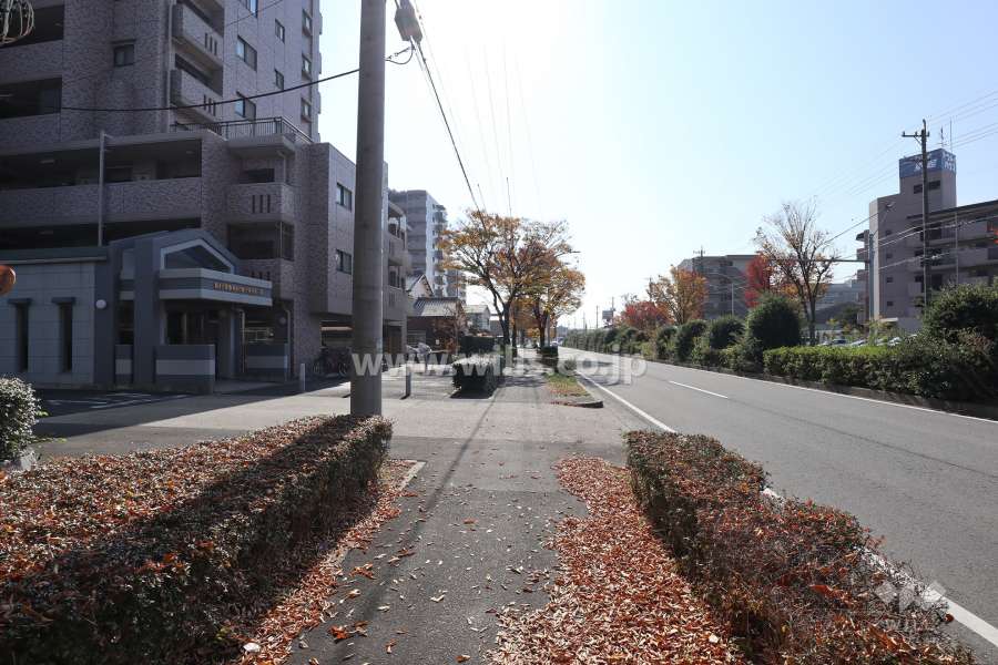 敷地西側の前面道路