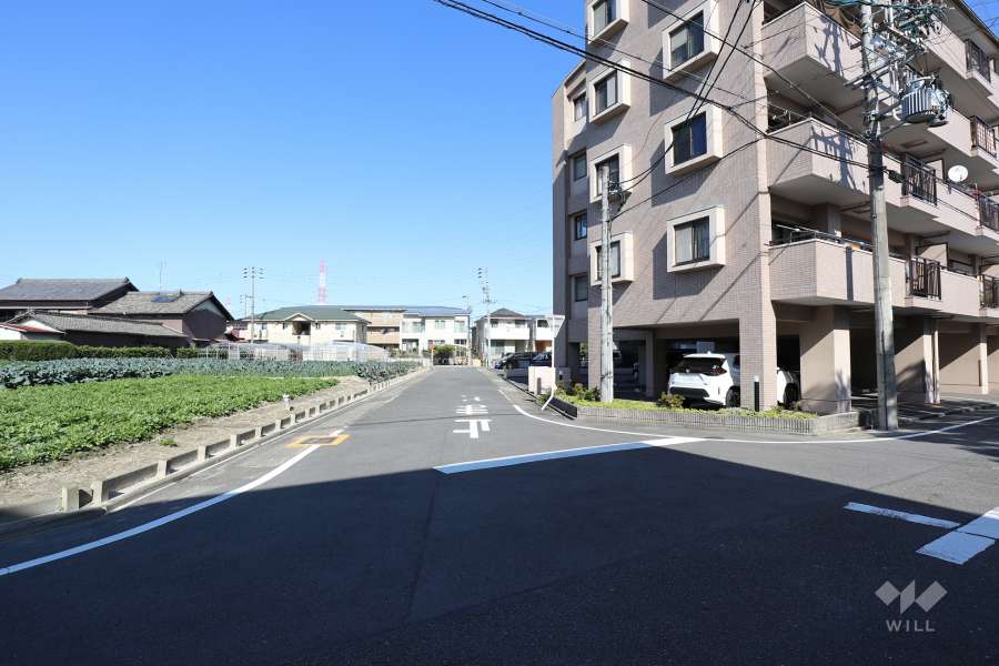 敷地西側の前面道路