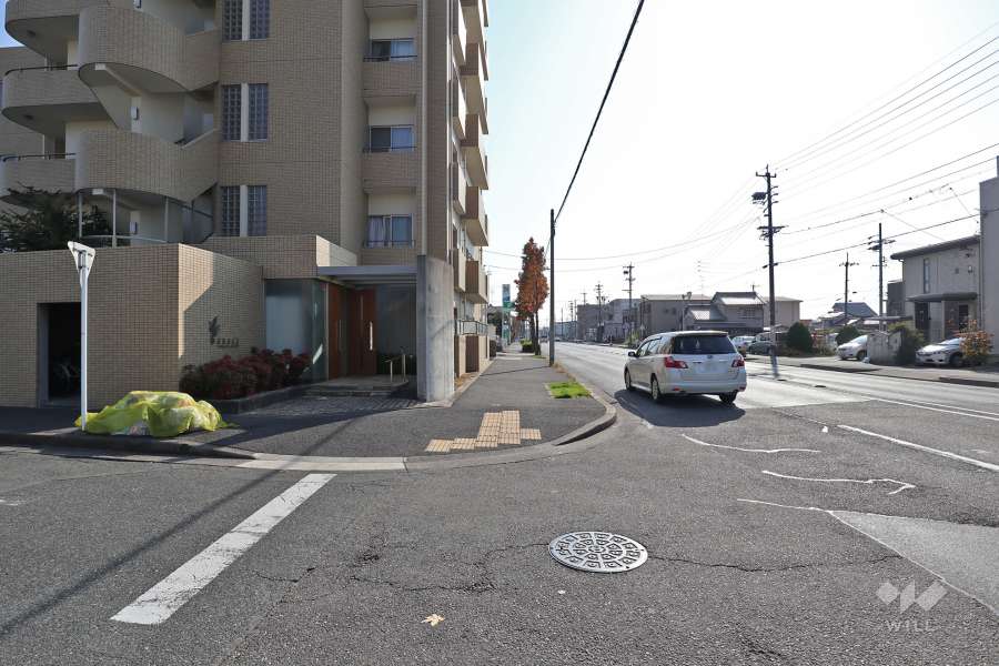 敷地西側の前面道路（北側から）