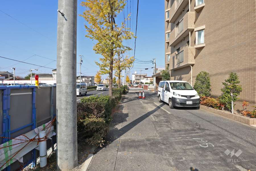 敷地西側の前面道路（南側から）