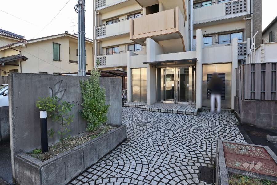 エントランスアプローチ