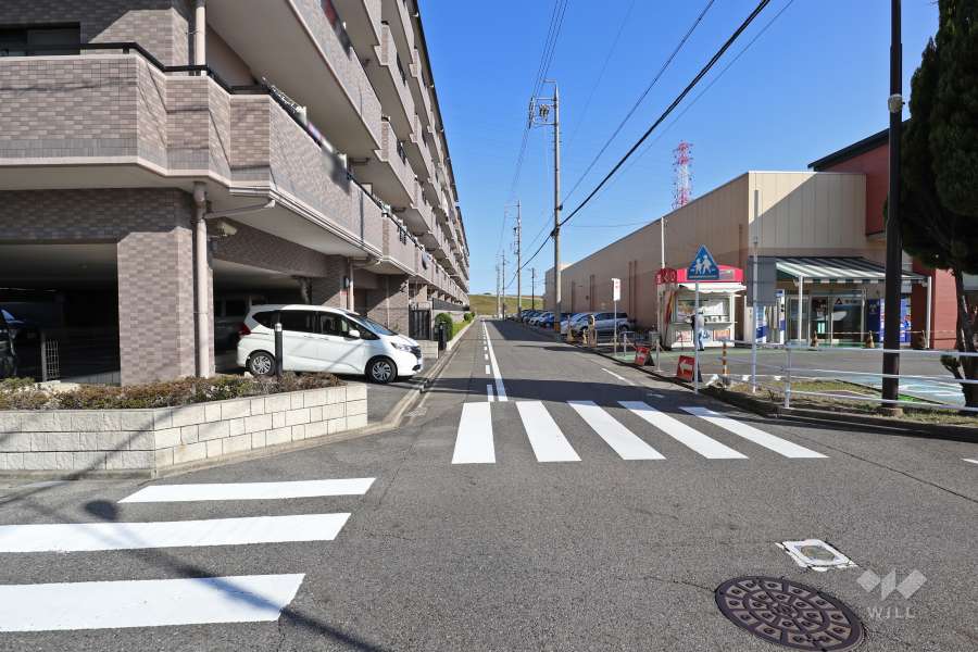 敷地南側の前面道路（西側から）