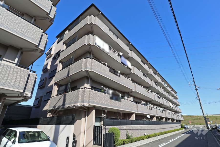 ダイアパレス伏屋弐番館の外観（南西側から）