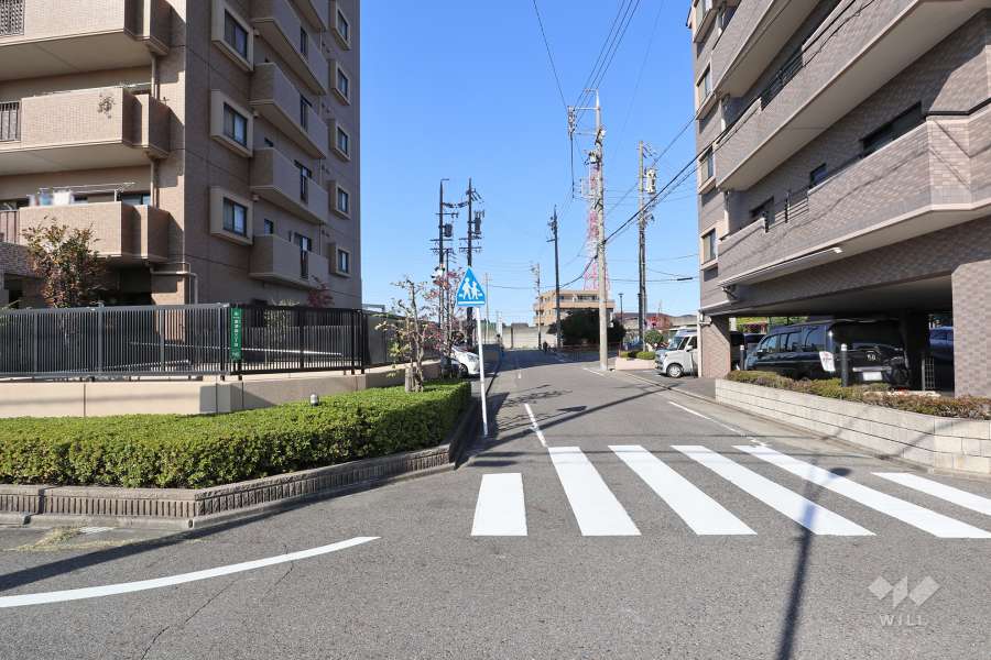 敷地東側の前面道路