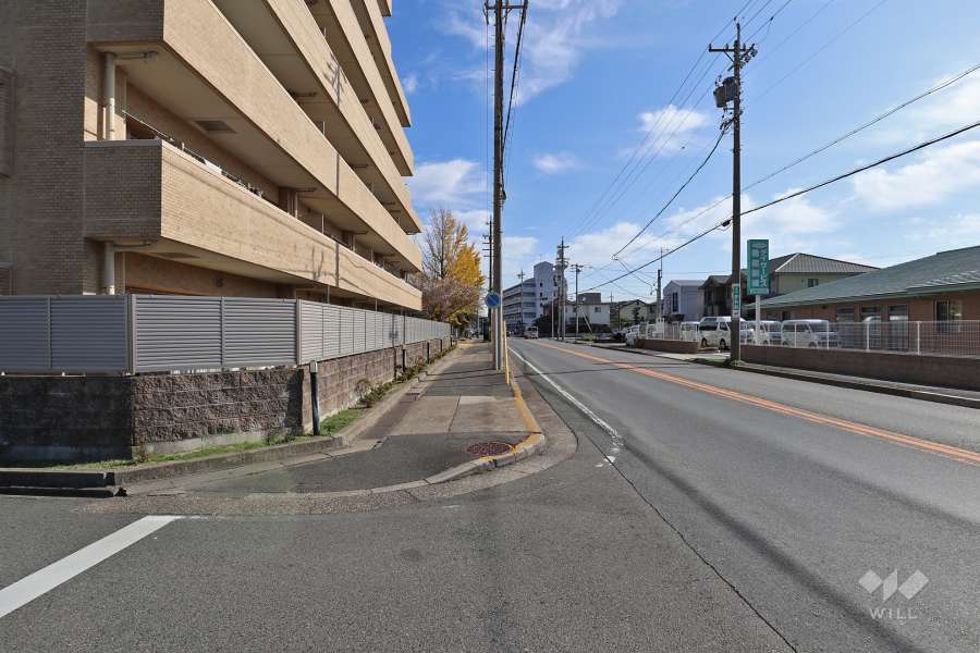 敷地南側の前面道路（西側から）