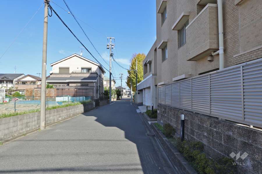 敷地西側の前面道路（南側から）