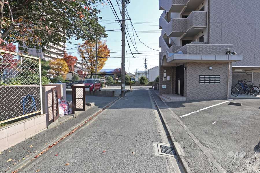 敷地南側の前面道路（西側から）