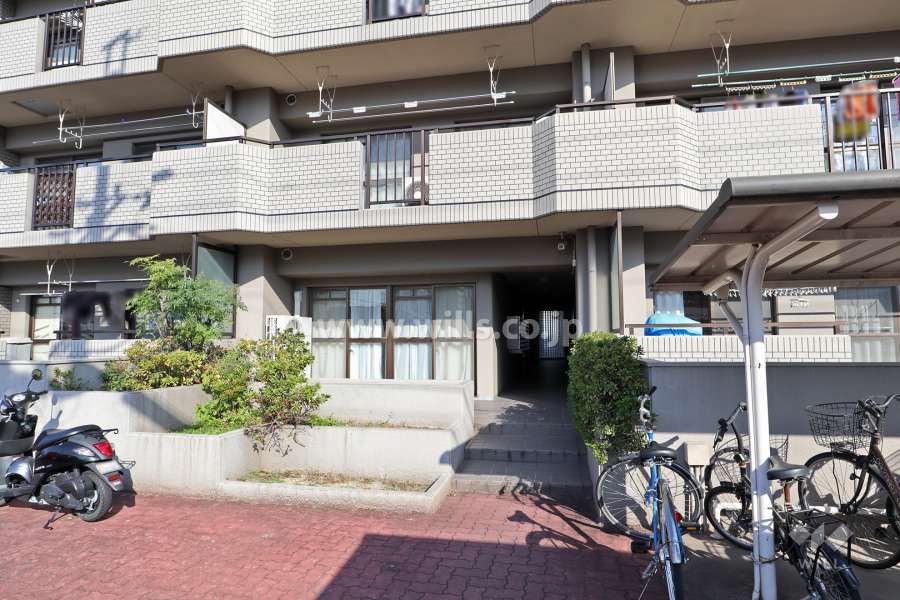 敷地南側の通路