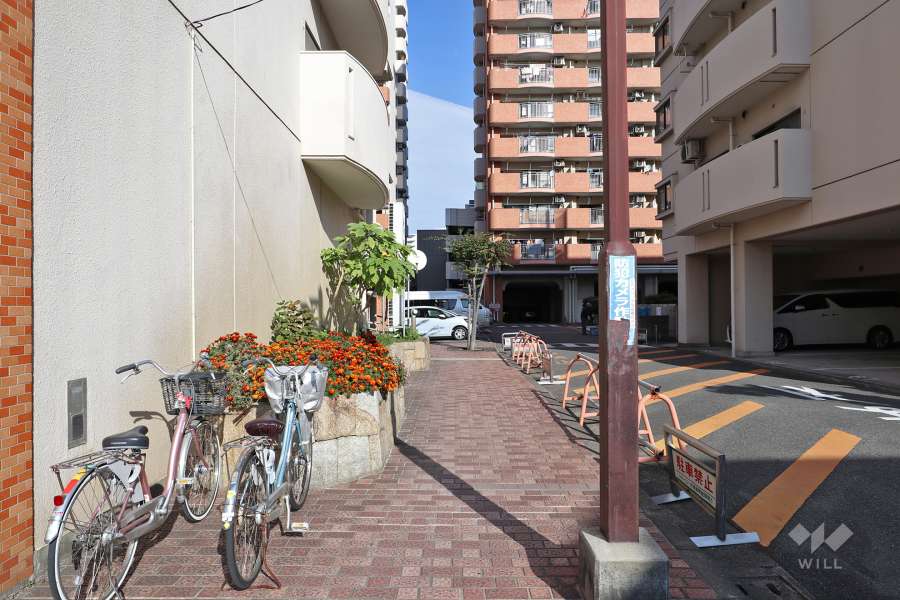 2号館と4号館の間の通路