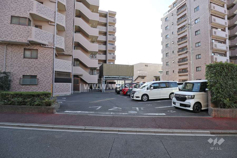 駐車場出入り口・敷地内駐車場（屋外平面式）