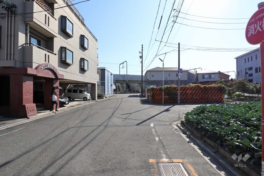 敷地西側の前面道路