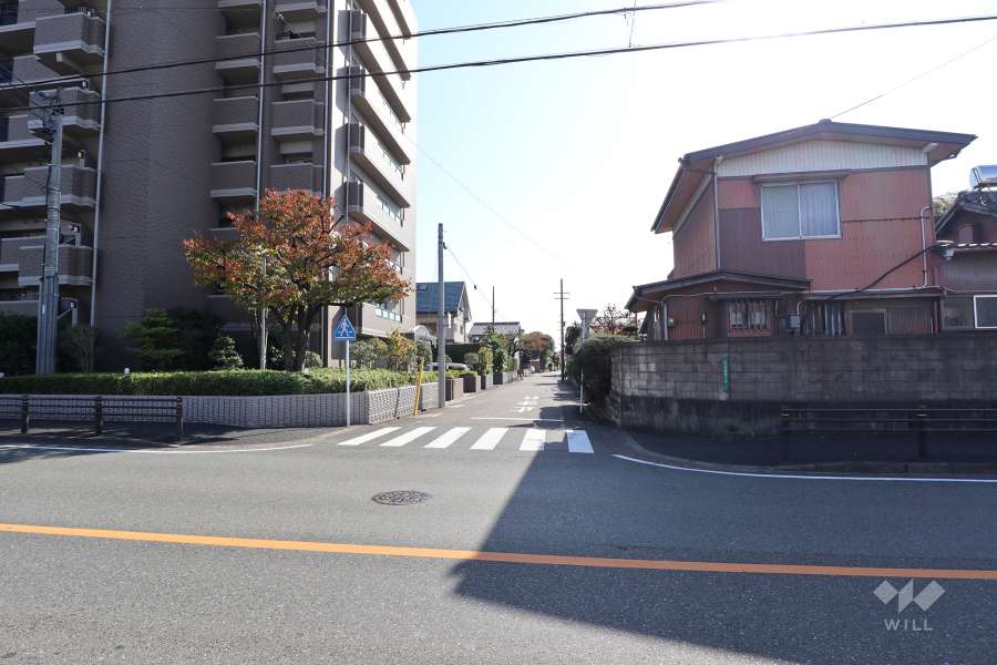 敷地西側の前面道路