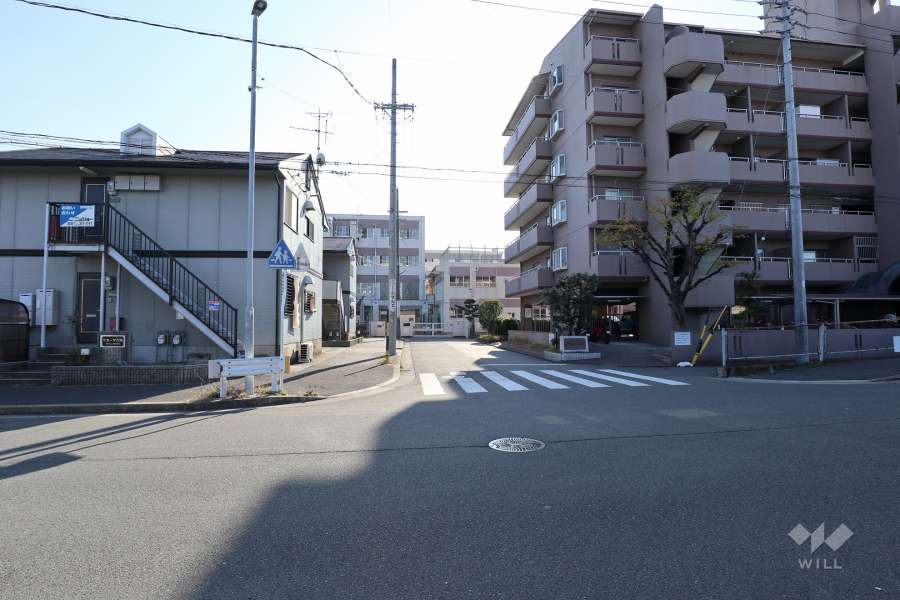 敷地東側の前面道路