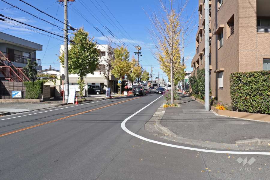 敷地西側の前面道路（南側から）