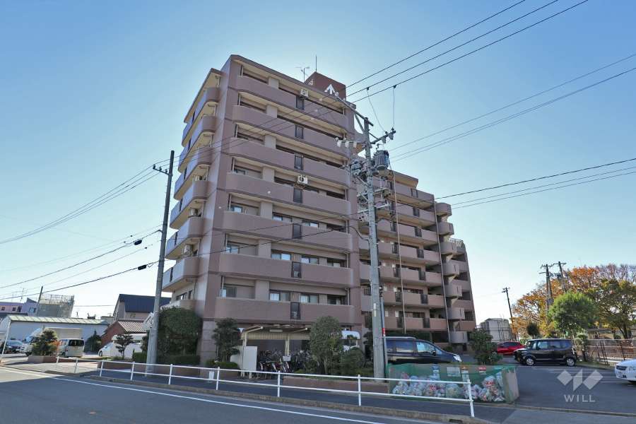 サンハウス八田の外観（北側から）