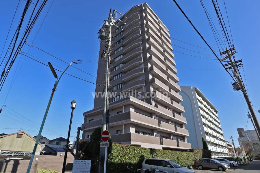 アドリーム露橋公園の外観（南西側から）