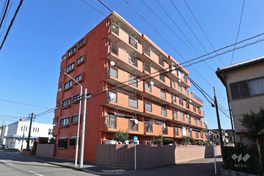 ライオンズマンション柳島の外観（南西側から）