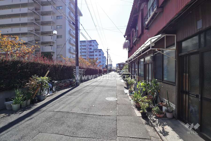 敷地西側の前面道路（北側から）