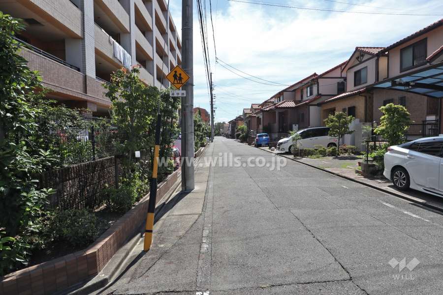 敷地南側の前面道路（西側から）