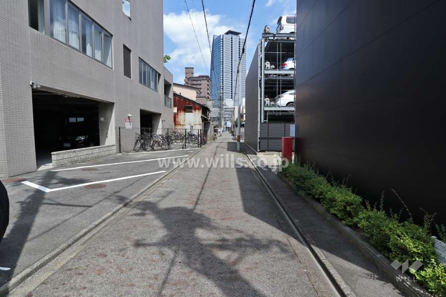 敷地北側の前面道路(西側から)