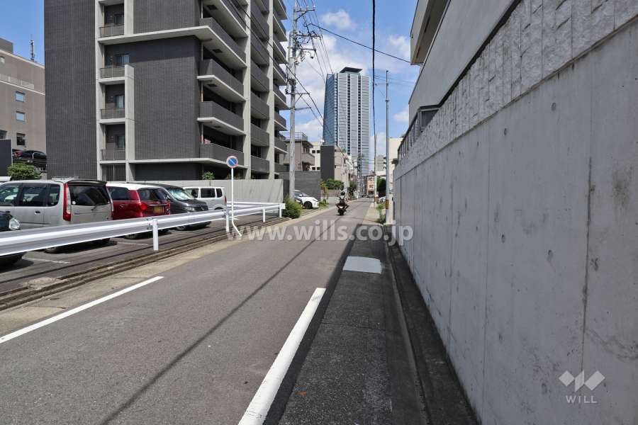 敷地南側の前面道路(西側から)