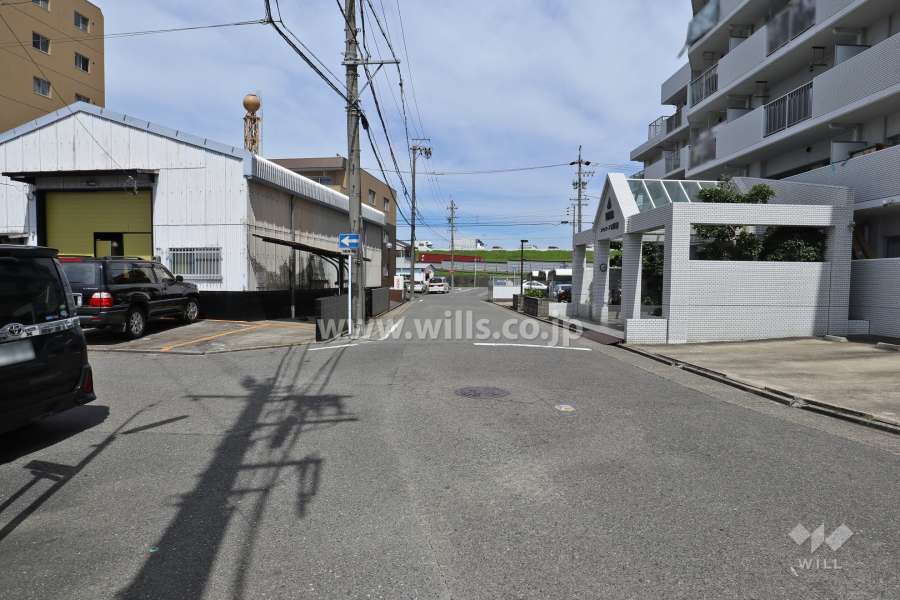 敷地南側の前面道路(東側から)