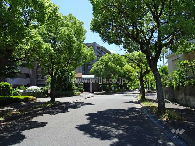 敷地西側の前面道路