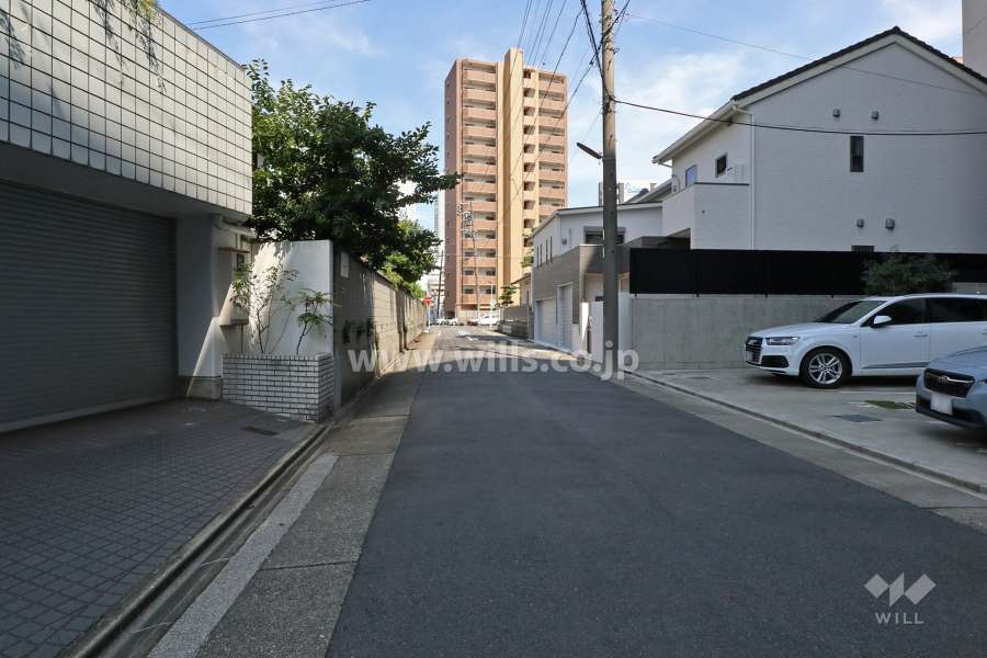 敷地北側の前面道路（西側から）