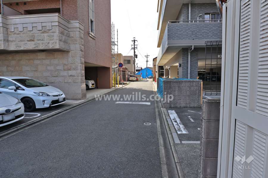 敷地東側の前面道路（北側から）