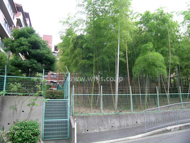 敷地の周囲は竹林や雑木林になっています。