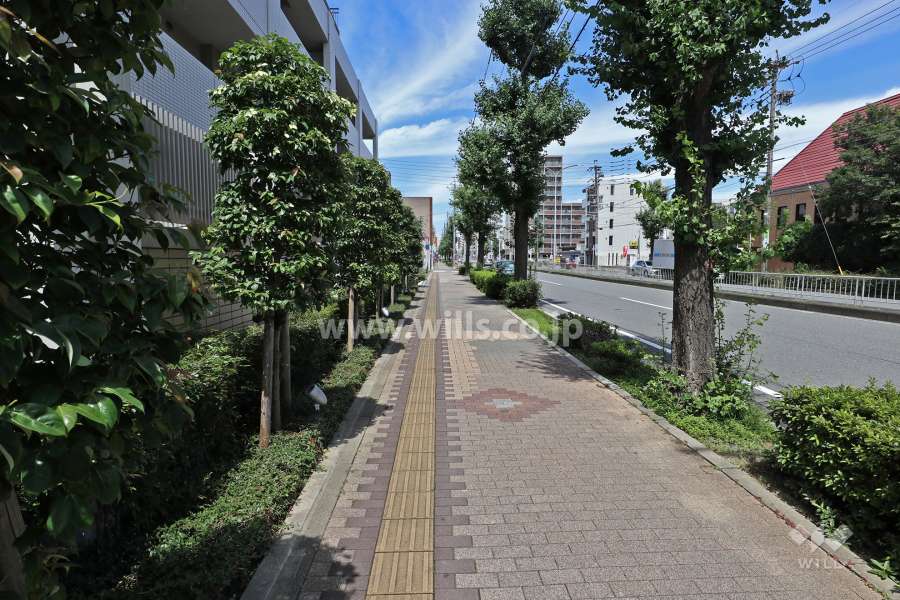 敷地南東側の前面道路（鳥居通り）