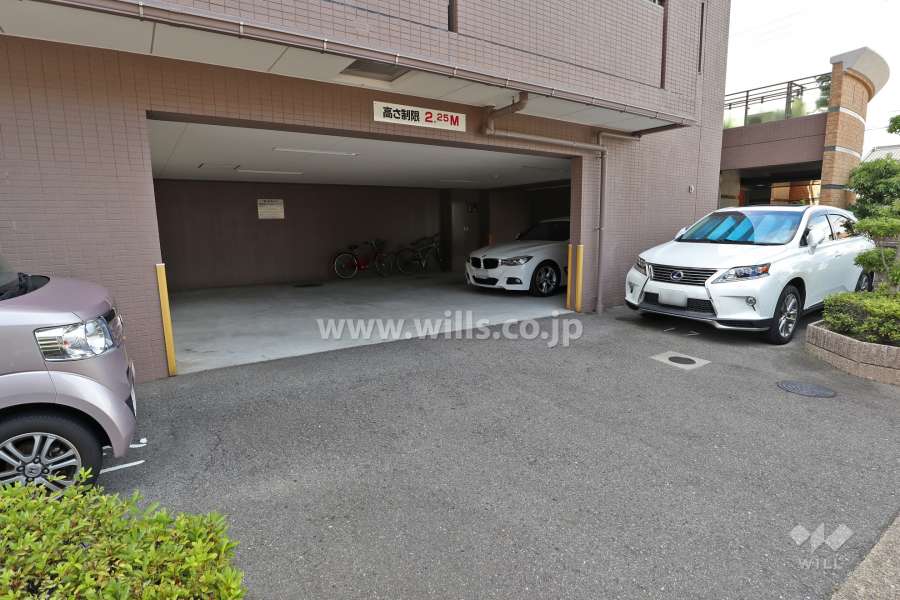 敷地内駐車場(平面式)