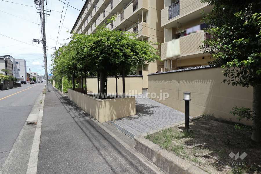 敷地出入り口（南側道路に面した共有通路です。）