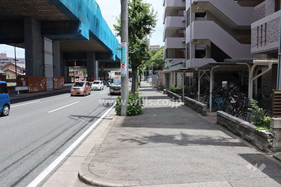 敷地東側の前面道路