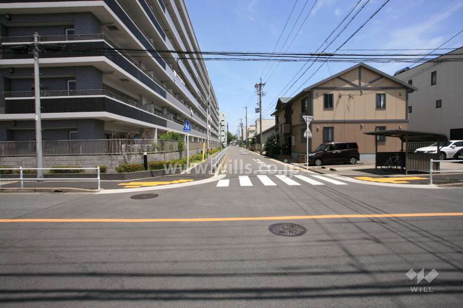 敷地南側の前面道路