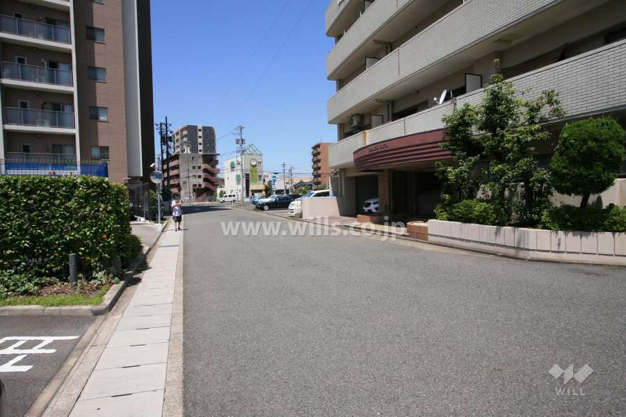敷地南側の前面道路。（正面道路）